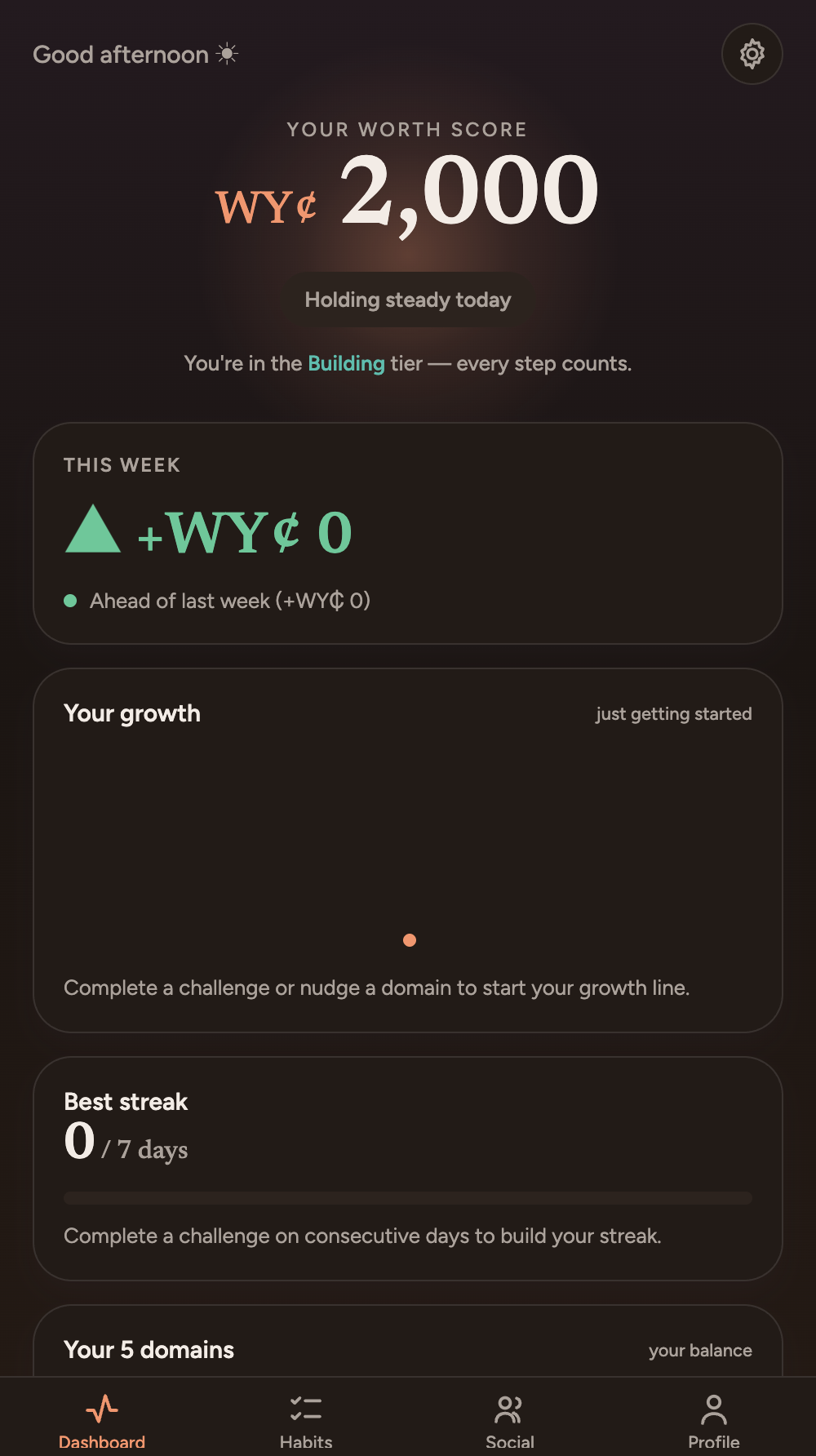 Worth Yourself dashboard